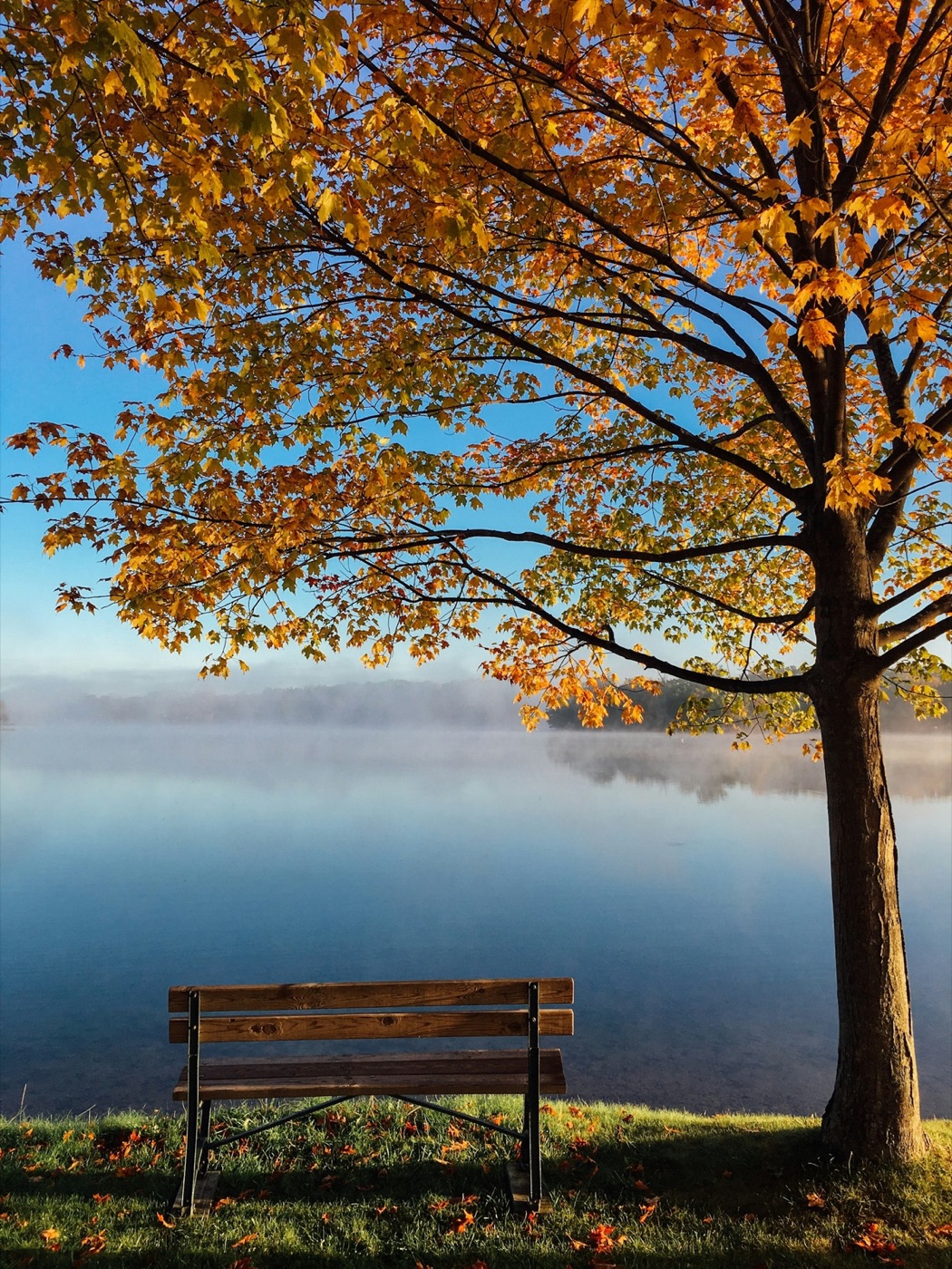 Autumn by the lake